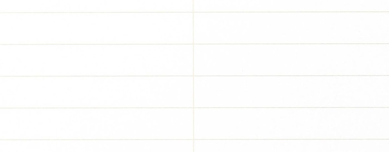 Closeup of Gregg-ruled page from Steno notepad.
