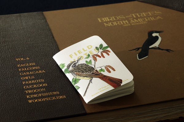 FNC64 BTNA withbook F