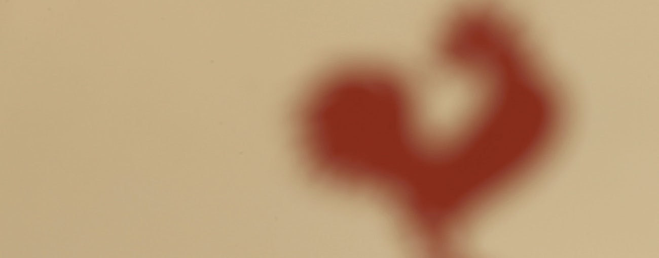 Fuzzy Rooster